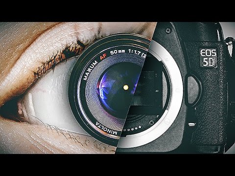 A Human Eye and a Camera Comparison