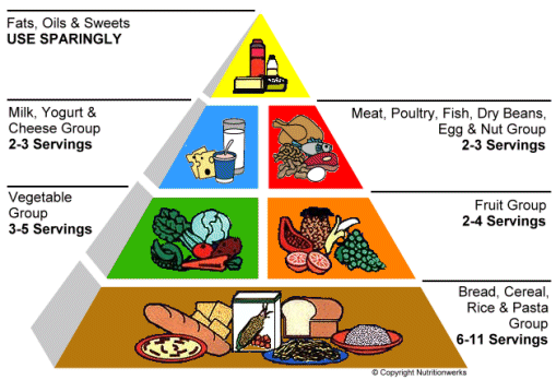 Variety Of Food To Take In Order To Protect Your Eyes Without Getting Bored