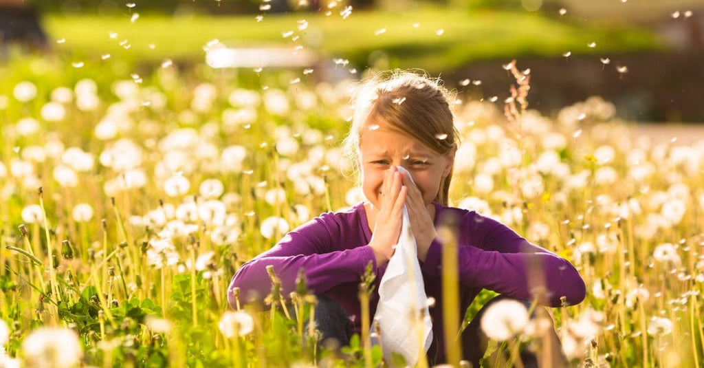 Useful tips for dealing with hay fever