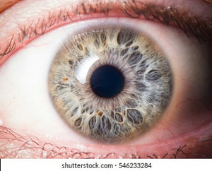 Facts about your Iris