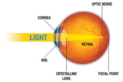 The Path of Light Through the Eye