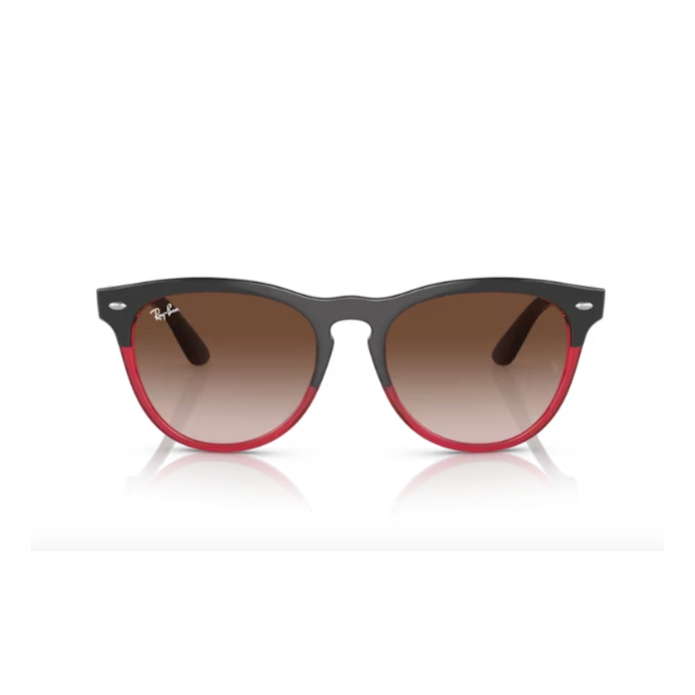 RAY BAN IRIS | 54 - 18 - 145