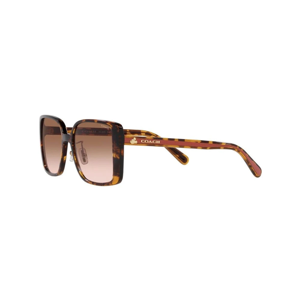 COACH 0HC8375 | 56 - 19 - 145