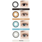 Maxim Orange Monthly 2 Lenses