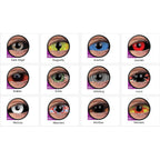 Colourvue Crazy 6 months 22mm Sclera Lens