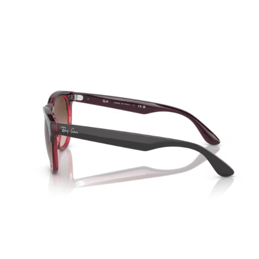 RAY BAN IRIS | 54 - 18 - 145