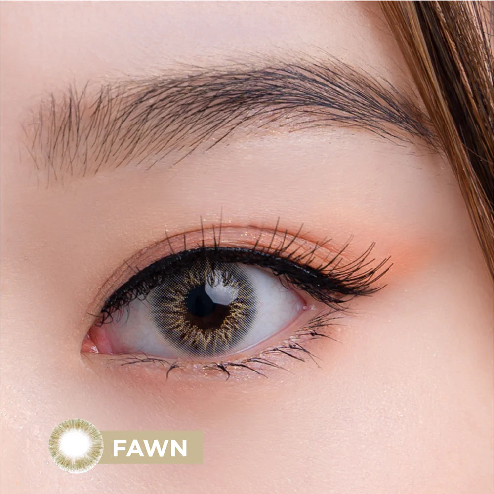 Blincon ViVi Color Monthly 2 Lenses